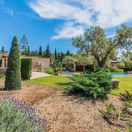 Sanchez * פוינסה