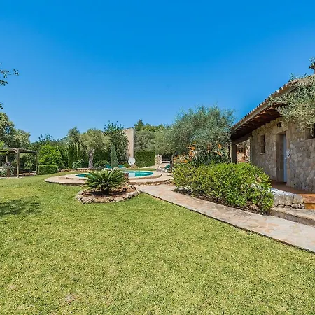 Sanchez * פוינסה